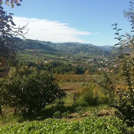 Nido D'ape Montepetra