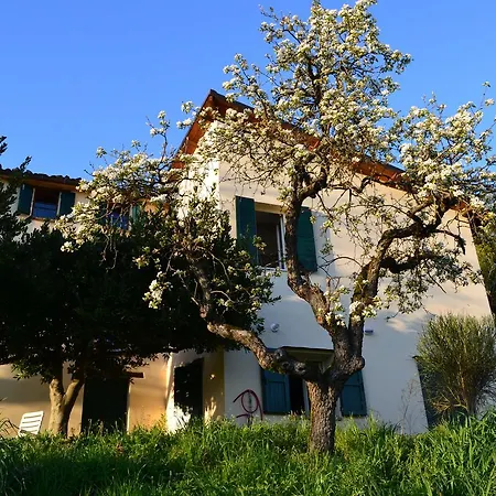 Nido D'ape Montepetra