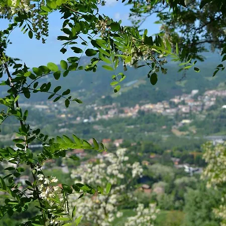 Nido D'ape Nocleg ze śniadaniem