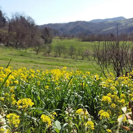 Nido D'ape Nocleg ze śniadaniem Montepetra