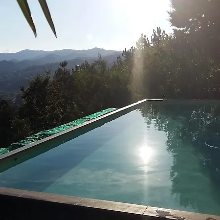 Nido D'ape Montepetra