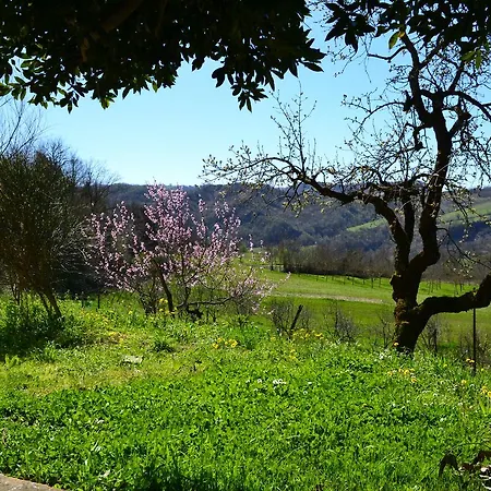 Nido D'ape Montepetra