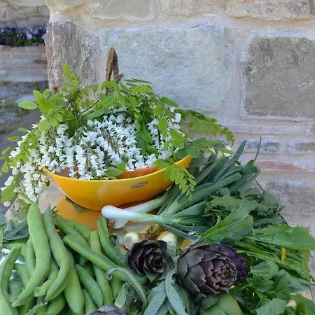 Nido D'ape * Montepetra