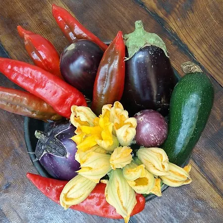 Nido D'ape Montepetra