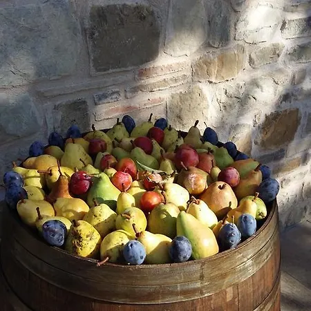 Frühstückspension Nido D'ape Montepetra