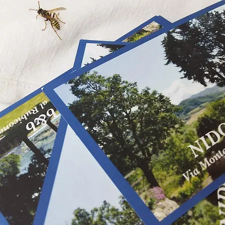 Nocleg ze śniadaniem Nido D'ape Montepetra