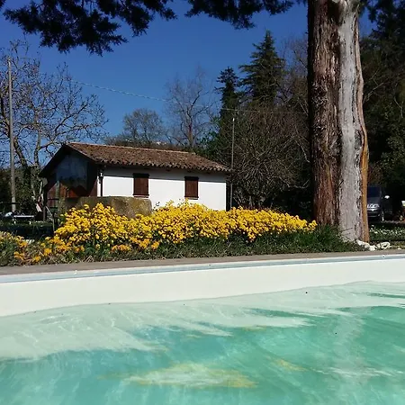 Nido D'ape Montepetra