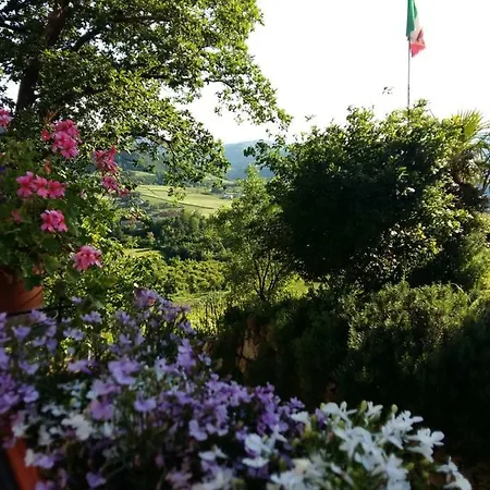 Nido D'ape Montepetra