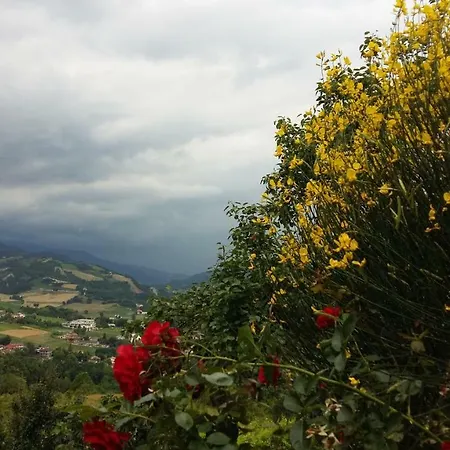 Nido D'ape * Montepetra